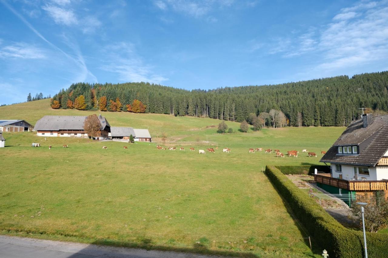 Hotel Sonnenmatte Titisee-Neustadt Exterior photo