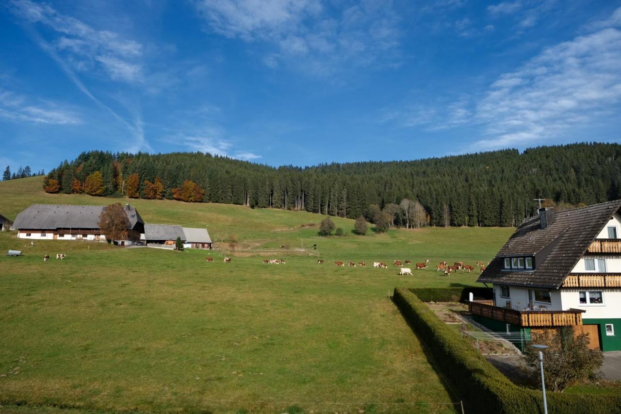 Hotel Sonnenmatte Titisee-Neustadt Exterior photo