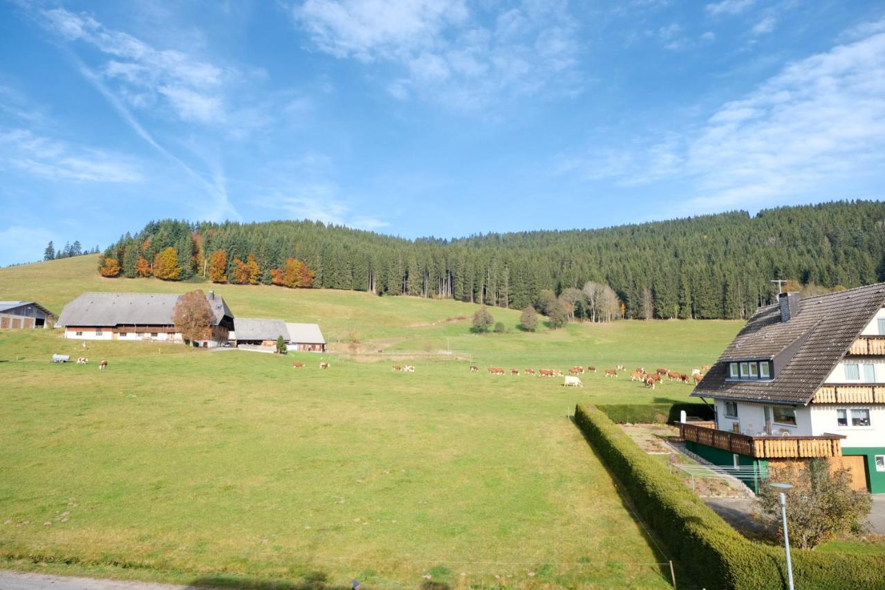 Hotel Sonnenmatte Titisee-Neustadt Exterior photo